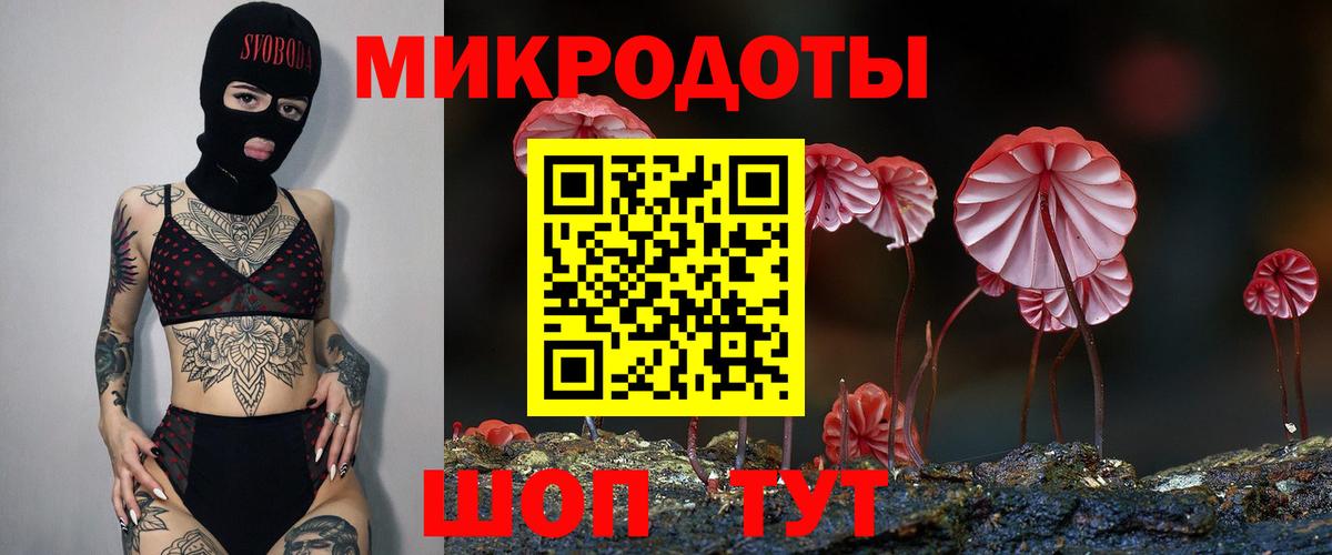 Лесосибирск  Галлюциногенные грибы мухоморы  Галлюциногенные грибы Psilocybine cubensis  Вход с VPN 