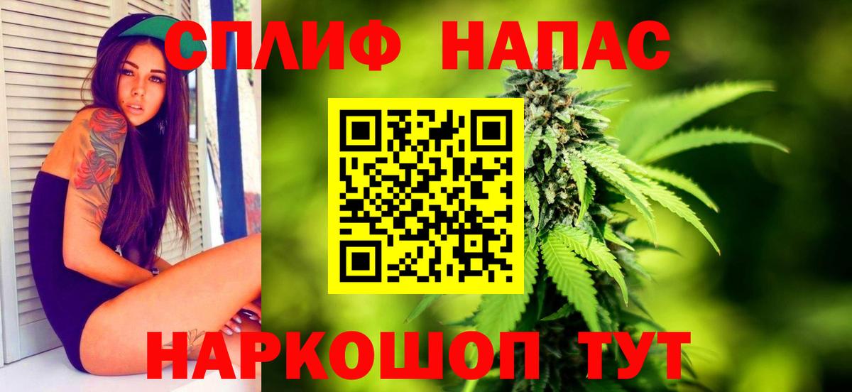 Бошки Шишки планчик  Канабис марихуана  Шишки марихуана семена  Вход с VPN  Лесосибирск 